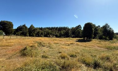 Se Vende Parcela sector Liucura de 6.705 m², Paillaco Región de Los Ríos.