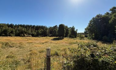Se Vende Parcela sector Liucura de 6.705 m², Paillaco Región de Los Ríos.