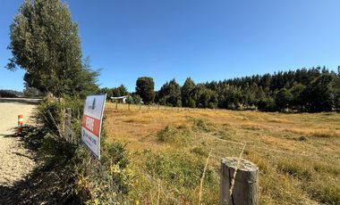 Se Vende Parcela sector Liucura de 6.705 m², Paillaco Región de Los Ríos.