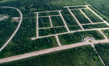 HABINTA, DESARROLLO HABITACIONAL DE INVERSIÓN INMOBILIARIA EN YUCATÁN