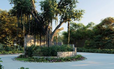 HABINTA, DESARROLLO HABITACIONAL DE INVERSIÓN INMOBILIARIA EN YUCATÁN