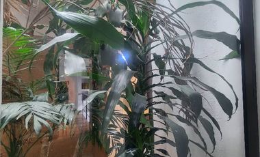 - Alcoba principal con sala de star, baño y walking closet - 4 alcobas secundarias cada una con baño independiente. - Estudio/Alcoba de Huespedes con