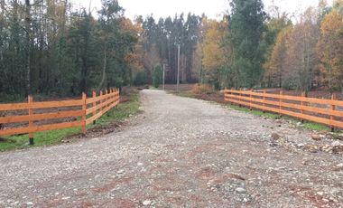 Se Venden Parcelas en proyecto “El Hualle escondido”, El Salto, Los Lagos, Región de Los Ríos.