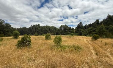 Se Venden Parcelas en proyecto “El Hualle escondido”, El Salto, Los Lagos, Región de Los Ríos.