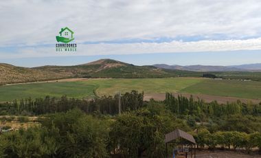 Se vende parcela de 5.000 m² en Lomas de Rauquén, con agua potable.