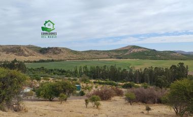 Se vende parcela de 5.000 m² en Lomas de Rauquén, con agua potable.