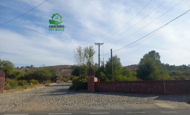 Se vende parcela de 5.000 m² en Lomas de Rauquén, con agua potable.