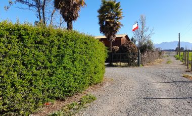 OLIVAR ALTO SEXTA REGION