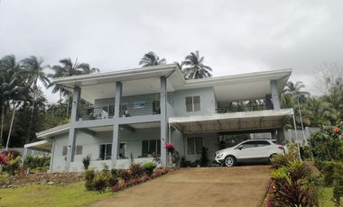 MOUNTAIN HOUSE AND LOT FOR SALE ID 14956