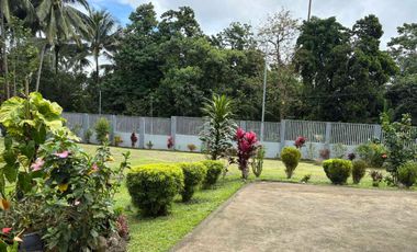 MOUNTAIN HOUSE AND LOT FOR SALE ID 14956