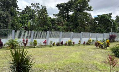 MOUNTAIN HOUSE AND LOT FOR SALE ID 14956
