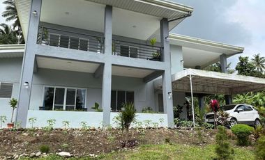 MOUNTAIN HOUSE AND LOT FOR SALE ID 14956