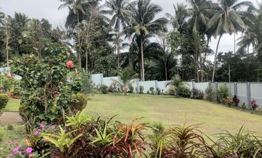 MOUNTAIN HOUSE AND LOT FOR SALE ID 14956