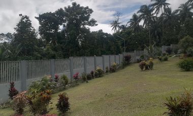 MOUNTAIN HOUSE AND LOT FOR SALE ID 14956