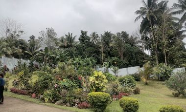 MOUNTAIN HOUSE AND LOT FOR SALE ID 14956