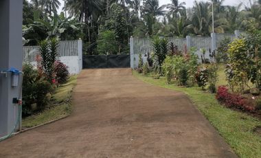 MOUNTAIN HOUSE AND LOT FOR SALE ID 14956