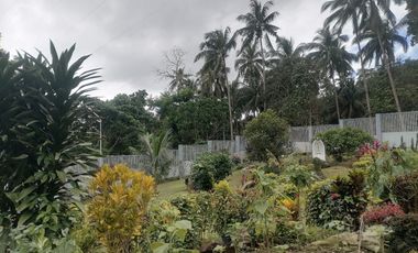 MOUNTAIN HOUSE AND LOT FOR SALE ID 14956
