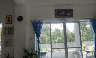 MOUNTAIN HOUSE AND LOT FOR SALE ID 14956