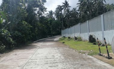 MOUNTAIN HOUSE AND LOT FOR SALE ID 14956