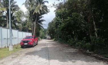 MOUNTAIN HOUSE AND LOT FOR SALE ID 14956