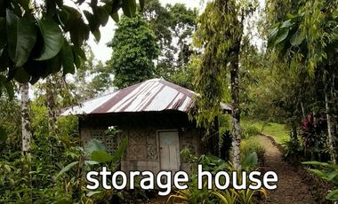 Residential House and Lot for Sale – European-Standard Home at a Bargain Price!
