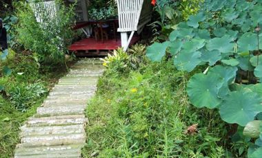 Residential House and Lot for Sale – European-Standard Home at a Bargain Price!