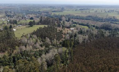 Oportunidad !!. Se venden 9,8has en la comuna de Mafil, a 40km de Valdivia