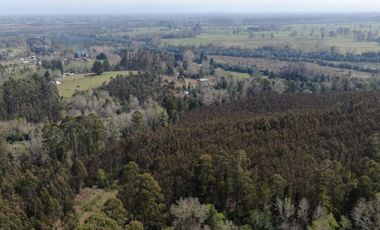 Oportunidad !!. Se venden 9,8has en la comuna de Mafil, a 40km de Valdivia