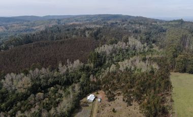 Oportunidad !!. Se venden 9,8has en la comuna de Mafil, a 40km de Valdivia