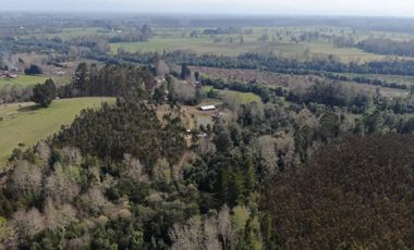 Oportunidad !!. Se venden 9,8has en la comuna de Mafil, a 40km de Valdivia
