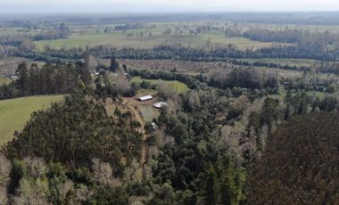 Oportunidad !!. Se venden 9,8has en la comuna de Mafil, a 40km de Valdivia