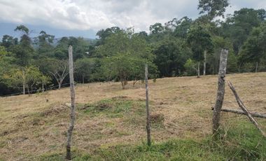 VENDO LOTE EN ICONONZO TOLIMA 3500 M²