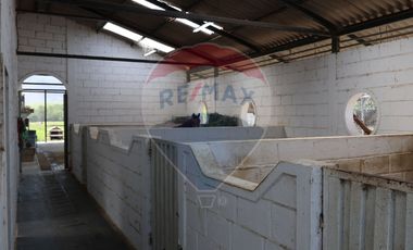 Finca de Venta en Salinas-Ibarra