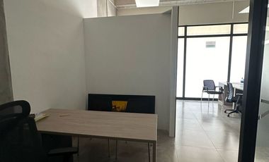 ARRIENDO, LOCAL, FLORIDABLANCA, SANTANDER, TORRES DEL BOSQUE.