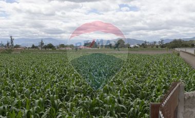 LOTE DE TERRENO DE VENTA EN NATABUELA