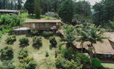 VENDO FINCA EN GUARNE