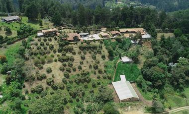 VENDO FINCA EN GUARNE