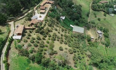 VENDO FINCA EN GUARNE