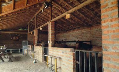 VENDO FINCA EN GUARNE