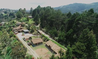 VENDO FINCA EN GUARNE