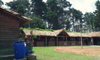 VENDO FINCA EN GUARNE