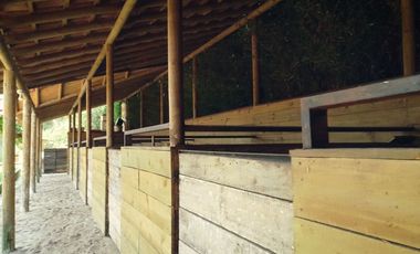 VENDO FINCA EN GUARNE