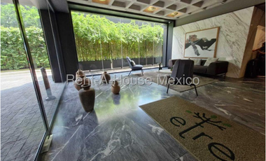 DEPARTAMENTO EN RENTA EN GRANADA CERCANO A POLANCO