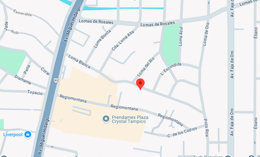 CASA EN CALLE LOMA BLANCA, COL. LOMA DE ROSALES, TAMPICO, TAMAULIPAS. ¡NO CREDITOS!