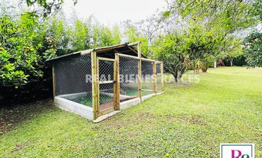 HERMOSA FINCA EN UN LOTE DE 6.060 M2 PLANOS