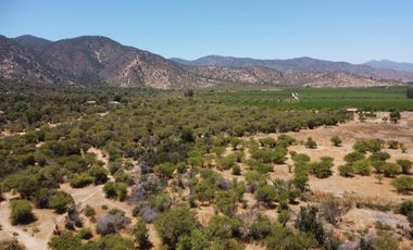 Venta de parcela en Condominio Pilares Verdes – Las Cabras, a solo 5 minutos del Lago Rapel