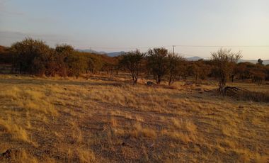 Venta de parcela en Condominio Pilares Verdes – Las Cabras, a solo 5 minutos del Lago Rapel