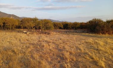 Venta de parcela en Condominio Pilares Verdes – Las Cabras, a solo 5 minutos del Lago Rapel