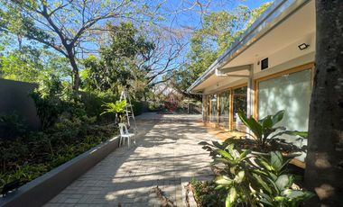 FOR RENT Brand New 4BR Bungalow House in Ayala Alabang Village, Muntinlupa City - RH97