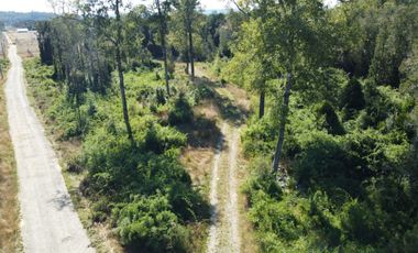 OPORTUNIDAD  Se vende Parcela sector Chancoyan, Valdivia